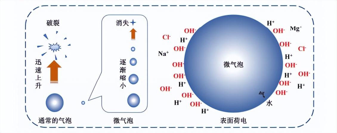 科力邇