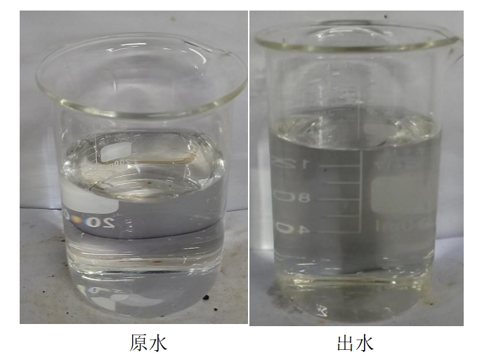 科力邇